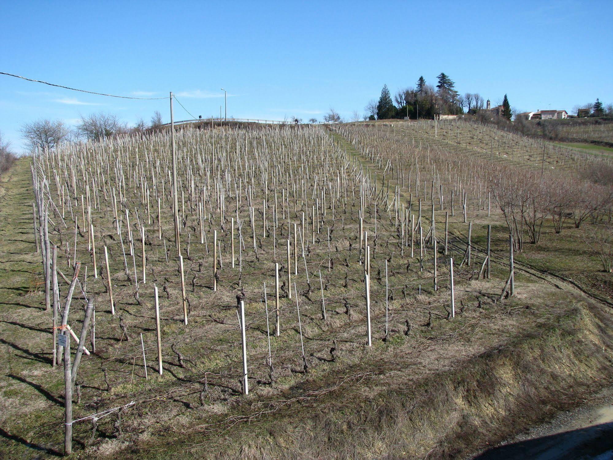 Agriturismo San Martino Clavesana Eksteriør billede