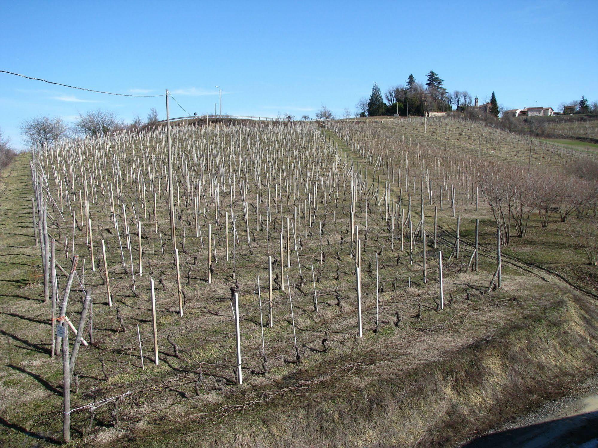 Agriturismo San Martino Villa Clavesana Eksteriør billede